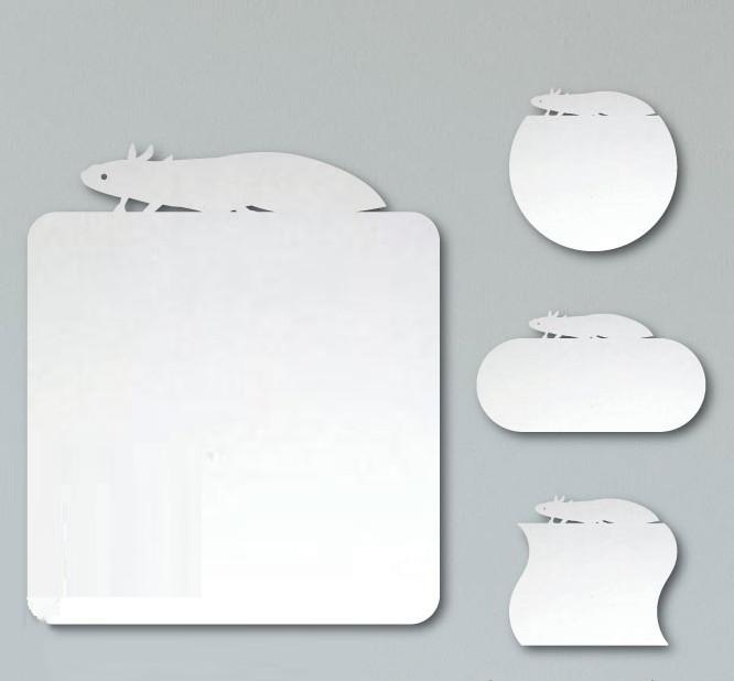 ウーパールーパー_ペットミラー鏡_両生類グッズ_名入れ_PET-TEP_ENT_315_7811枚目の画像