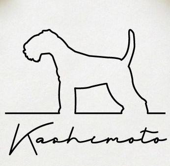 レークランドテリア_オリジナルペットシルエットサインスタンプ_犬グッズ_名入れ_PET-TEP_ENT_159_2511枚目の画像