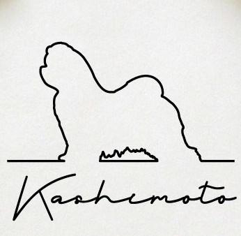 マルチーズ_オリジナルペットシルエットサインスタンプ_犬グッズ_名入れ_PET-TEP_ENT_141_1071枚目の画像