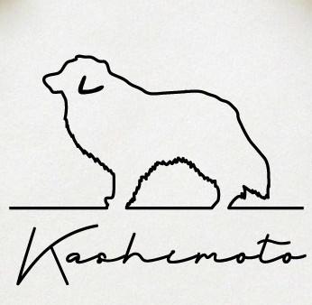 ボーダーコリー_オリジナルペットシルエットサインスタンプ_犬グッズ_名入れ_PET-TEP_ENT_128_1551枚目の画像