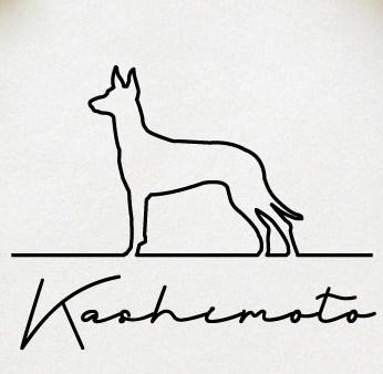 ファラオハウンド_オリジナルペットシルエットサインスタンプ_犬グッズ_名入れ_PET-TEP_ENT_108_2241枚目の画像