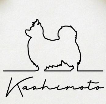 パピヨン_オリジナルペットシルエットサインスタンプ_犬グッズ_名入れ_PET-TEP_ENT_103_1491枚目の画像