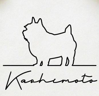 ノーリッチテリア_オリジナルペットシルエットサインスタンプ_犬グッズ_名入れ_PET-TEP_ENT_095_2191枚目の画像