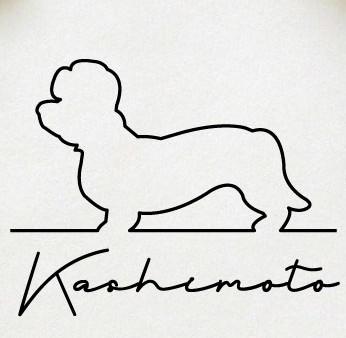 ダンディディンモントテリア_ペットシルエットサインスタンプ_犬グッズ_名入れ_PET-TEP_ENT_070_2041枚目の画像