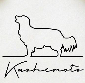 コーイケルホンディエ_ペットシルエットサインスタンプ_犬グッズ_名入れ_PET-TEP_ENT_036_1891枚目の画像