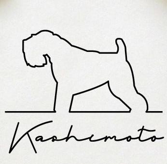 アイリッシュソフトコーテッドウィートンテリア_サインスタンプ_犬グッズ_名入れ_PET-TEP_ENT_003_1711枚目の画像