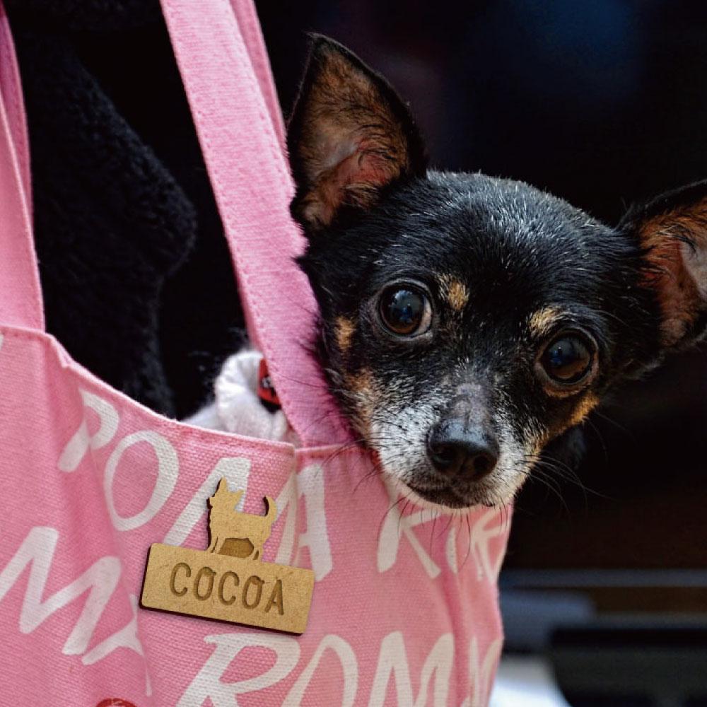 スタンダードプードルテディベアカット_ペット木札/木製名札_犬グッズ_名入れ_PET-TEP_ENT_063_135 | 5枚目