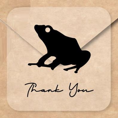 ヤドクガエル_オリジナルペットシルエットお名前シール_両生類グッズ_名入れ_PET-TEP_ENT_314_7091枚目の画像