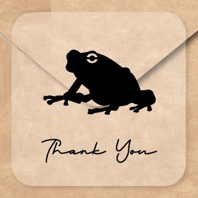 アマガエル_オリジナルペットシルエットお名前シール_両生類グッズ_名入れ_PET-TEP_ENT_307_7021枚目の画像