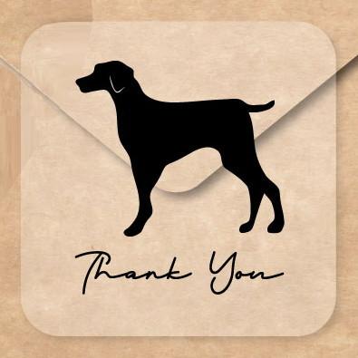 ワイマラナー_オリジナルペットシルエットお名前シール_犬グッズ_名入れ_PET-TEP_ENT_164_1681枚目の画像