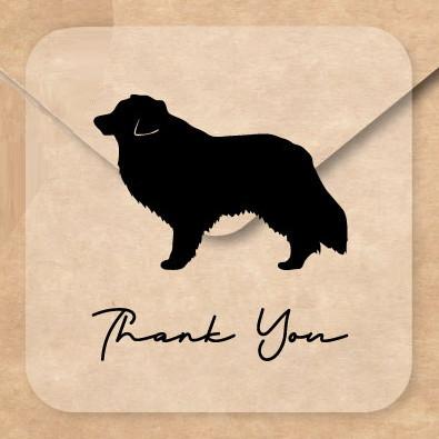 ボーダーコリー_オリジナルペットシルエットお名前シール_犬グッズ_名入れ_PET-TEP_ENT_128_1551枚目の画像