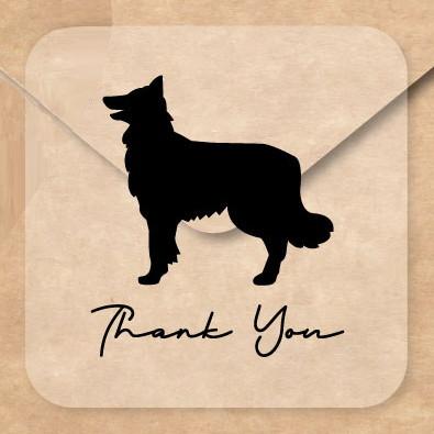 ベルジアンシェパードドッグタービュレン_お名前シール_犬グッズ_名入れ_PET-TEP_ENT_125_2371枚目の画像