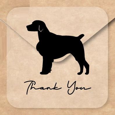 ブリタニースパニエル_ペットシルエットお名前シール_犬グッズ_名入れ_PET-TEP_ENT_114_2301枚目の画像