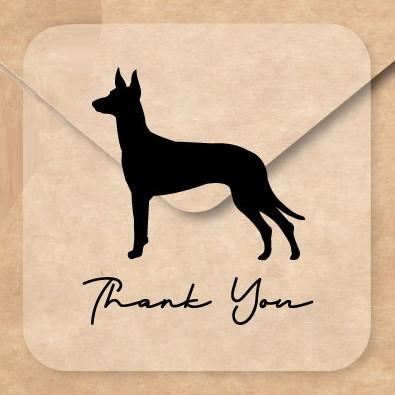 ファラオハウンド_オリジナルペットシルエットお名前シール_犬グッズ_名入れ_PET-TEP_ENT_108_2241枚目の画像