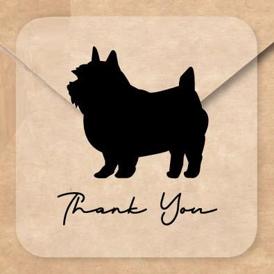 ノーリッチテリア_オリジナルペットシルエットお名前シール_犬グッズ_名入れ_PET-TEP_ENT_095_2191枚目の画像