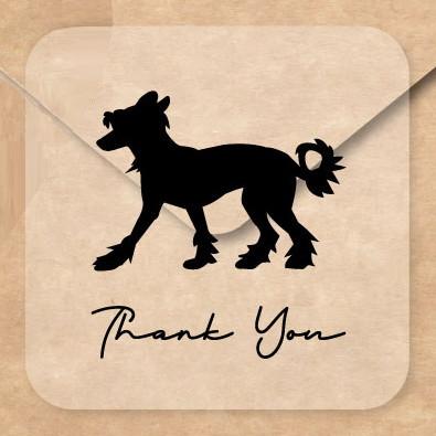 チャイニーズクレステッドドッグ_ペットお名前シール_犬グッズ_名入れ_PET-TEP_ENT_076_2101枚目の画像