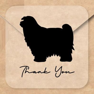 チベタンテリア_オリジナルペットシルエットお名前シール_犬グッズ_名入れ_PET-TEP_ENT_074_2081枚目の画像