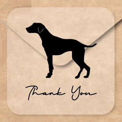 ダルメシアン_オリジナルペットシルエットお名前シール_犬グッズ_名入れ_PET-TEP_ENT_069_1371枚目の画像