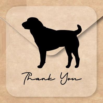 セントラルアジアシェパードドッグ_ペットお名前シール_犬グッズ_名入れ_PET-TEP_ENT_067_2021枚目の画像