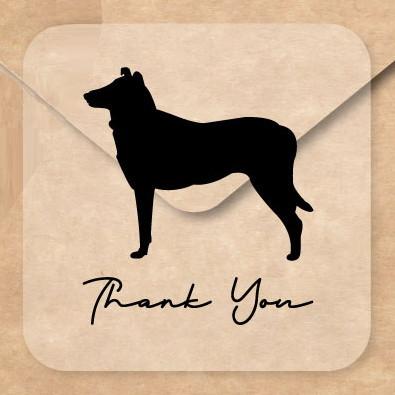 スムースコリー_オリジナルペットシルエットお名前シール_犬グッズ_名入れ_PET-TEP_ENT_064_2001枚目の画像