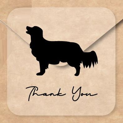 コーイケルホンディエ_ペットシルエットお名前シール_犬グッズ_名入れ_PET-TEP_ENT_036_1891枚目の画像