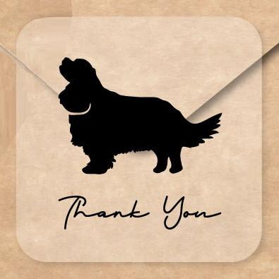 キャバリアキングチャールズスパニエル_ペットお名前シール_犬グッズ_名入れ_PET-TEP_ENT_029_1231枚目の画像