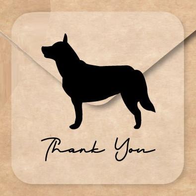 オーストラリアンキャトルドッグ_ペットお名前シール_犬グッズ_名入れ_PET-TEP_ENT_021_1801枚目の画像