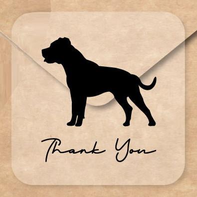 アメリカンスタッフォードシャーテリア_ペットお名前シール_犬グッズ_名入れ_PET-TEP_ENT_008_1731枚目の画像