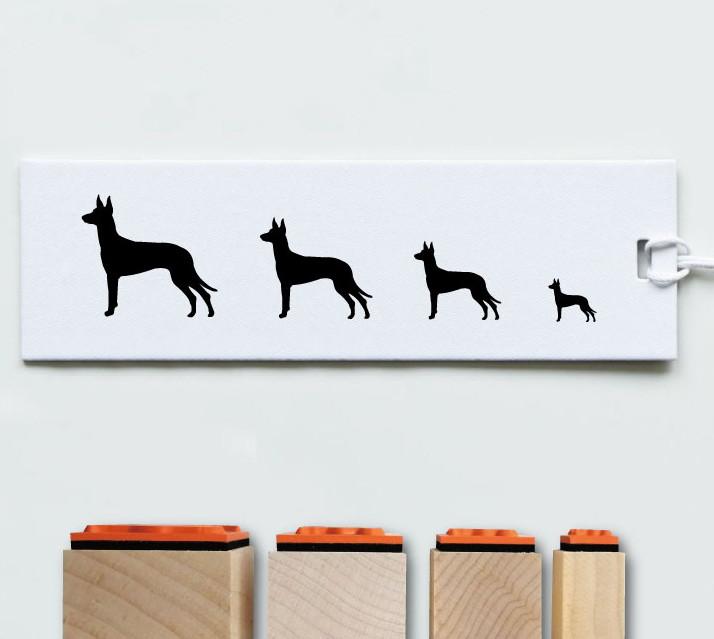 ファラオハウンド_オリジナルペットシルエットスタンプセット_犬グッズ_名入れ_PET-TEP_ENT_108_2241枚目の画像