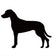 ローデシアンリッジバック_ペットシルエットカートプレート_犬グッズ_名入れ_PET-TEP_ENT_161_253 | 2枚目