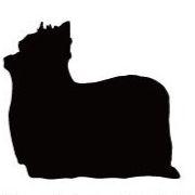 ヨークシャテリア_オリジナルペットシルエットカートプレート_犬グッズ_名入れ_PET-TEP_ENT_152_109 | 2枚目