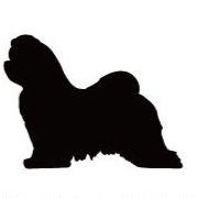 マルチーズ_オリジナルペットシルエットカートプレート_犬グッズ_名入れ_PET-TEP_ENT_141_107 | 2枚目