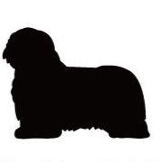 ポリッシュローランドシープドッグ_ペットカートプレート_犬グッズ_名入れ_PET-TEP_ENT_135_242 | 2枚目