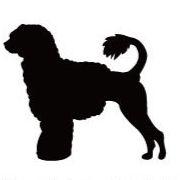 ポーチュギーズウォータードッグ_ペットカートプレート_犬グッズ_名入れ_PET-TEP_ENT_129_240 | 2枚目