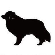 ボーダーコリー_オリジナルペットシルエットカートプレート_犬グッズ_名入れ_PET-TEP_ENT_128_155 | 2枚目