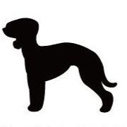 ベドリントンテリア_ペットシルエットカートプレート_犬グッズ_名入れ_PET-TEP_ENT_122_234 | 2枚目