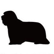 ビアデッドコリー_オリジナルペットシルエットカートプレート_犬グッズ_名入れ_PET-TEP_ENT_104_223 | 2枚目