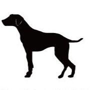 ダルメシアン_オリジナルペットシルエットカートプレート_犬グッズ_名入れ_PET-TEP_ENT_069_137 | 2枚目