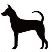 タイワンドッグ_オリジナルペットシルエットカートプレート_犬グッズ_名入れ_PET-TEP_ENT_068_203 | 2枚目