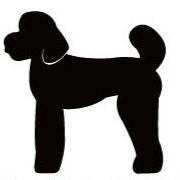 スタンダードプードルテディベアカット_ペットカートプレート_犬グッズ_名入れ_PET-TEP_ENT_063_135 | 2枚目