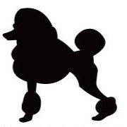 スタンダードプードルコンチネンタルクリップ_カートプレート_犬グッズ_名入れ_PET-TEP_ENT_062_134 | 2枚目