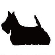スコティッシュテリア_ペットシルエットカートプレート_犬グッズ_名入れ_PET-TEP_ENT_059_133 | 2枚目