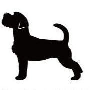 ジャックラッセルテリアラフ_ペットシルエットカートプレート_犬グッズ_名入れ_PET-TEP_ENT_057_132 | 2枚目