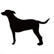 ジャーマンピンシャー_ペットシルエットカートプレート_犬グッズ_名入れ_PET-TEP_ENT_053_196 | 2枚目