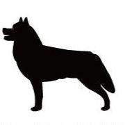 シベリアンハスキー_ペットシルエットカートプレート_犬グッズ_名入れ_PET-TEP_ENT_050_129 | 2枚目