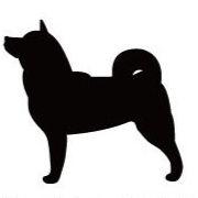 柴犬2_オリジナルペットシルエットカートプレート_犬グッズ_名入れ_PET-TEP_ENT_048_257 | 2枚目