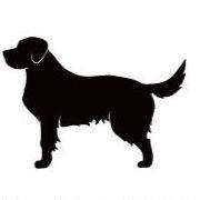 ゴールデンレトリーバー_ペットシルエットカートプレート_犬グッズ_名入れ_PET-TEP_ENT_038_103 | 2枚目