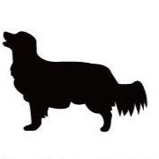 コーイケルホンディエ_ペットシルエットカートプレート_犬グッズ_名入れ_PET-TEP_ENT_036_189 | 2枚目