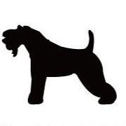 ケリーブルーテリア_オリジナルペットシルエットカートプレート_犬_名入れ_PET-TEP_ENT_035_188 | 2枚目