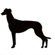 グレーハウンド_オリジナルペットシルエットカートプレート_犬グッズ_名入れ_PET-TEP_ENT_033_186 | 2枚目